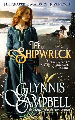 Cover image for The Shipwreck