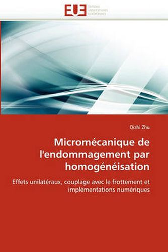 Cover image for Microm Canique de L'Endommagement Par Homog N Isation