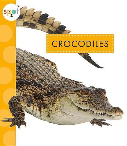 Cover image for Crocodiles