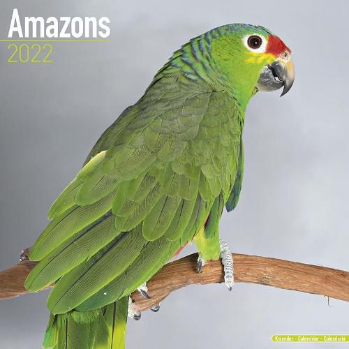 Cover image for Amazons 2022 Wall Calendar