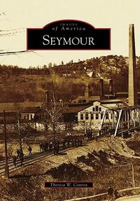 Cover image for Seymour