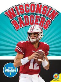 Cover image for Wisconsin Badgers