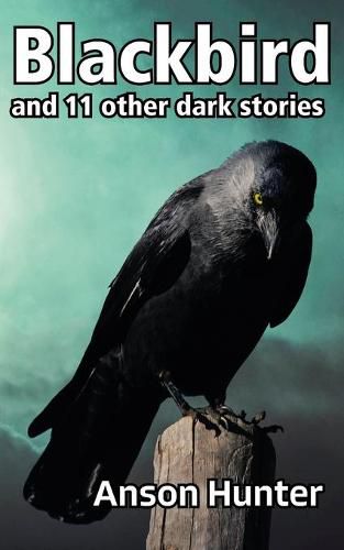 Cover image for Blackbird: and 11 other dark stories