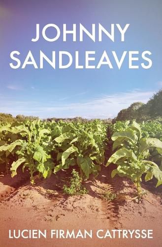 Cover image for Johnny Sandleaves