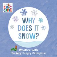 Cover image for Why Does It Snow?