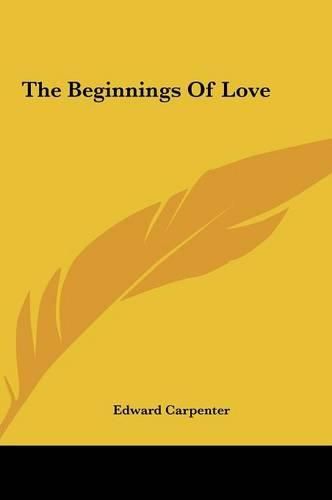 Cover image for The Beginnings of Love the Beginnings of Love