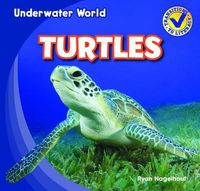 Cover image for Turtles