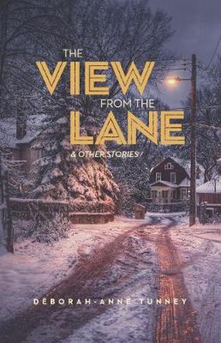 Cover image for The View from the Lane: Stories