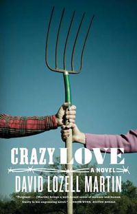 Cover image for Crazy Love: A Novel