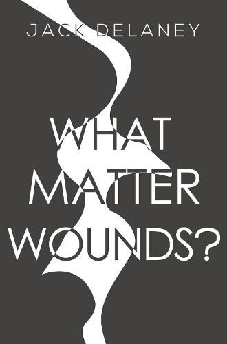 Cover image for What Matter Wounds?