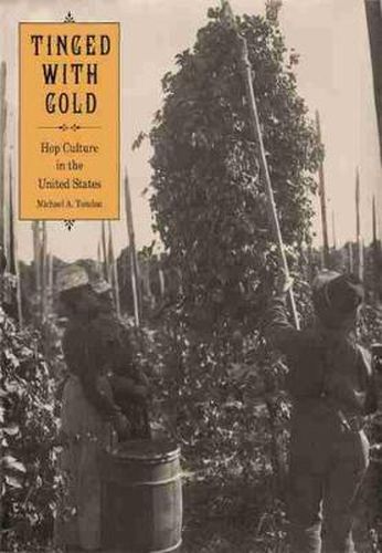 Cover image for Tinged with Gold: Hop Culture in the United States