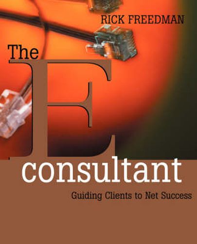 Cover image for The EConsultant: Guiding Clients to Net Success