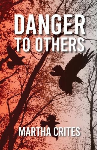 Cover image for Danger to Others