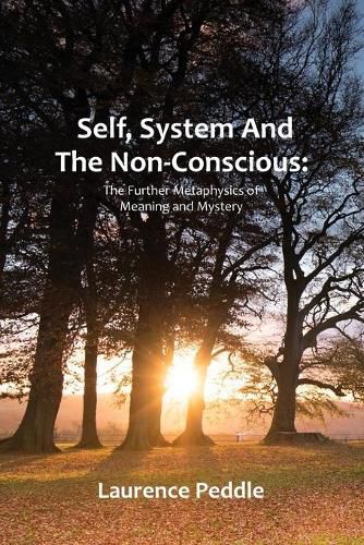 Cover image for Self, System and the Non-Conscious: The Further Metaphysics of Meaning and Mystery