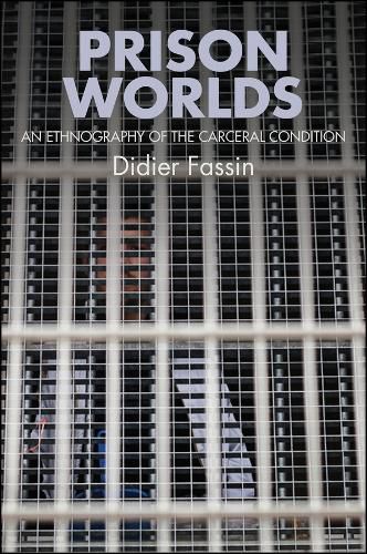 Prison Worlds: An Ethnography of the Carceral Condition