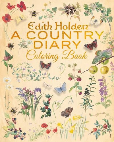 Cover image for The Edith Holden: A Country Diary Coloring Book