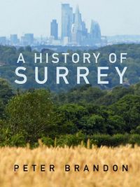 Cover image for A History of Surrey