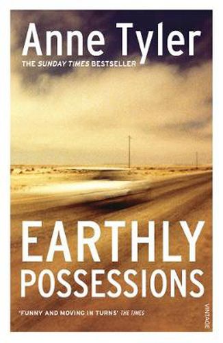 Cover image for Earthly Possessions