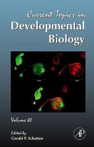 Cover image for Current Topics in Developmental Biology