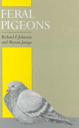 Cover image for Feral Pigeons