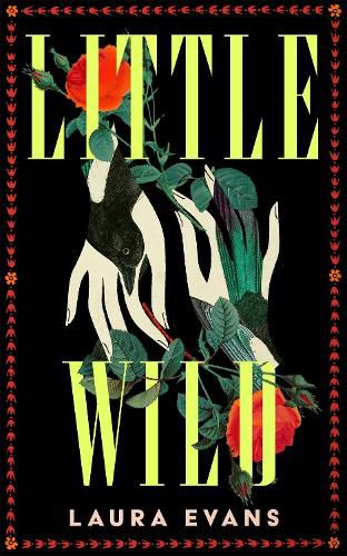 Cover image for Little Wild