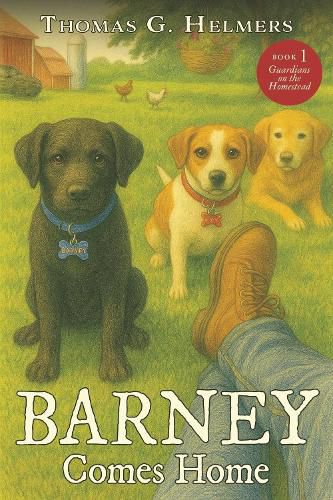Cover image for Barney Comes Home