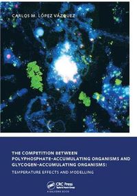 Cover image for The Competition between Polyphosphate-Accumulating Organisms and Glycogen-Accumulating Organisms: Temperature Effects and Modelling: UNESCO-IHE PhD Thesis