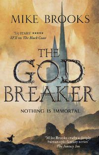 Cover image for The Godbreaker: The God-King Chronicles, Book 3