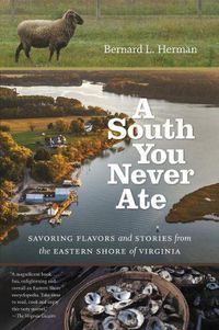 Cover image for A South You Never Ate: Savoring Flavors and Stories from the Eastern Shore of Virginia