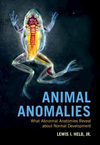 Cover image for Animal Anomalies: What Abnormal Anatomies Reveal about Normal Development