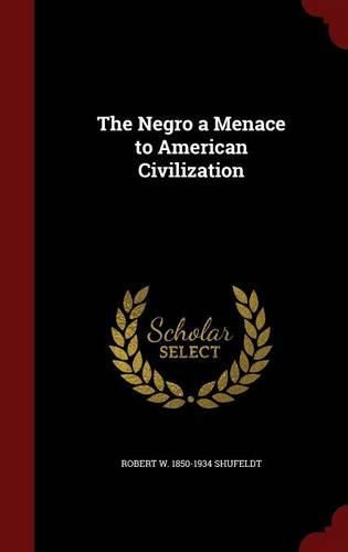 Cover image for The Negro a Menace to American Civilization