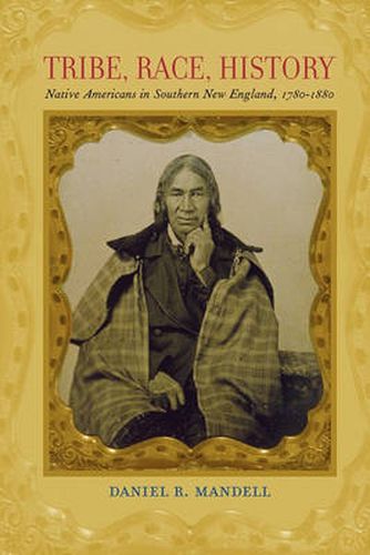 Cover image for Tribe, Race, History: Native Americans in Southern New England, 1780-1880