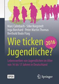 Cover image for Wie ticken Jugendliche 2016?: Lebenswelten von Jugendlichen im Alter von 14 bis 17 Jahren in Deutschland