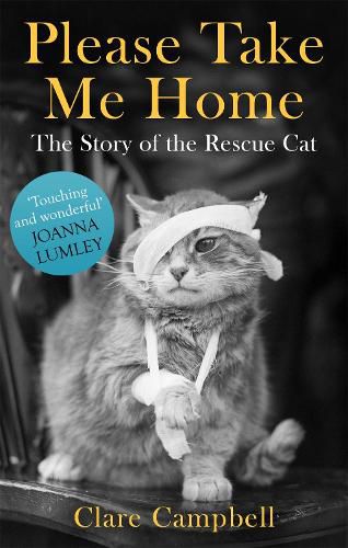 Cover image for Please Take Me Home: The Story of the Rescue Cat