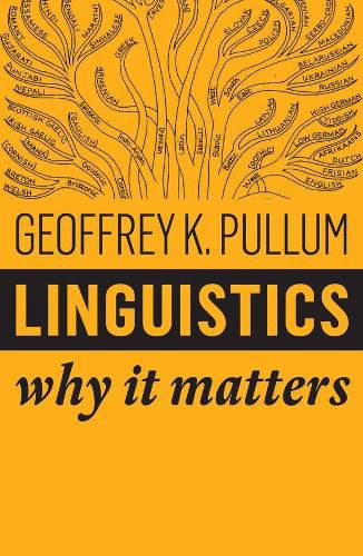 Cover image for Linguistics: Why It Matters