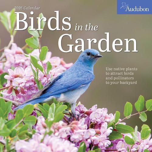 Audubon Birds in the Garden Wall Calendar 2026