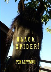 Cover image for Black Spider !