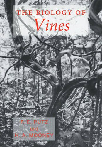 Cover image for The Biology of Vines