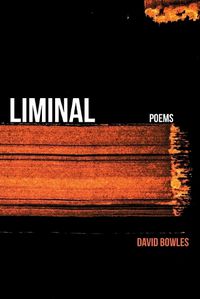 Cover image for Liminal