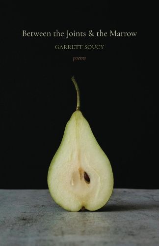 Cover image for Between the Joints & the Marrow