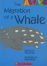 Cover image for The Migration of a Whale