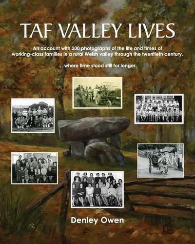 Cover image for Taf Valley Lives
