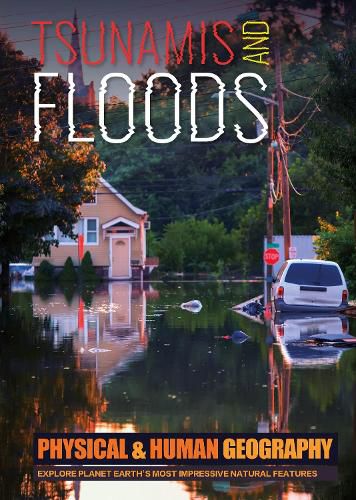 Cover image for Tsunamis and Floods