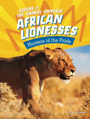 Cover image for African Lionesses: Hunters of the Pride