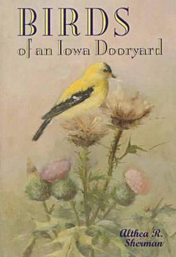 Cover image for Birds of an Iowa Dooryard