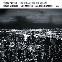 Cover image for The Dreamer is the Dream