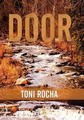 Cover image for Door