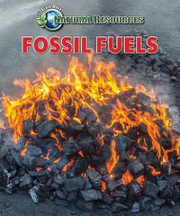 Cover image for Fossil Fuels