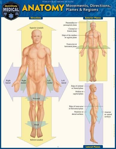 Cover image for Anatomy - Directions, Planes, Movements & Regions: A Quickstudy Laminated Reference Guide