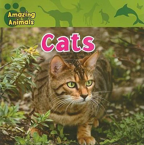 Cover image for Cats